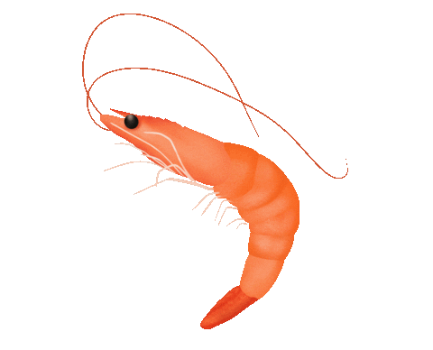 @Shrimpsources's Pin Board Image