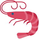 Shrimpsources's Page Doll