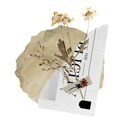 @Uthyrwar's Pin Board Image
