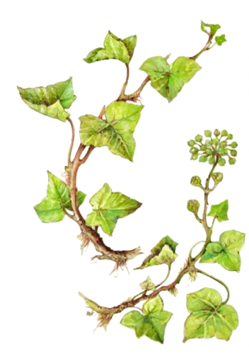 @Uthyrwar's Pin Board Image