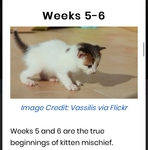 @whimsiclaw's Pin Board Image