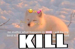 @brutus's Pin Board Image
