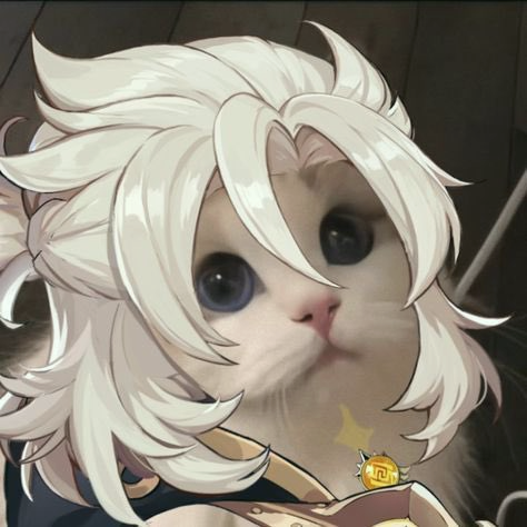 @raindoe's Pin Board Image