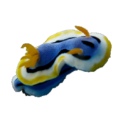 @celestialoracle's Pin Board Image