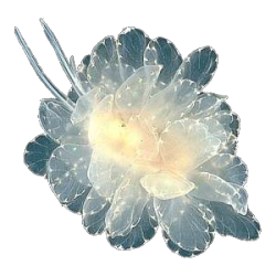 @celestialoracle's Pin Board Image