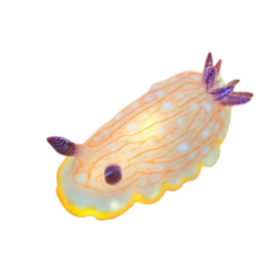 @celestialoracle's Pin Board Image