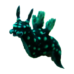 @celestialoracle's Pin Board Image