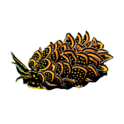 @celestialoracle's Pin Board Image