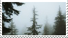 @lavenderbeastie's Pin Board Image