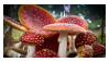 @lavenderbeastie's Pin Board Image