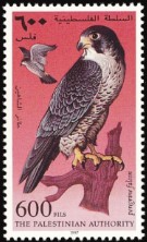 @Hemlocksgrove's Pin Board Image