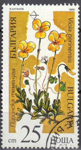 Link to: https://www.tumblr.com/stamp-it-to-me/612041287995195392/two-1989-bulgarian-stamps-from-a-series-on?source=share
