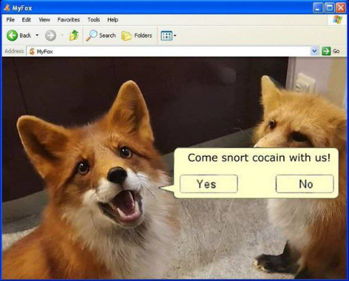 @felitech's Pin Board Image