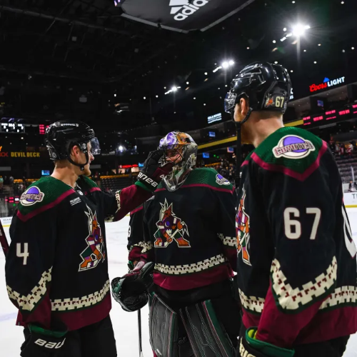 @kesoyotes's Pin Board Image