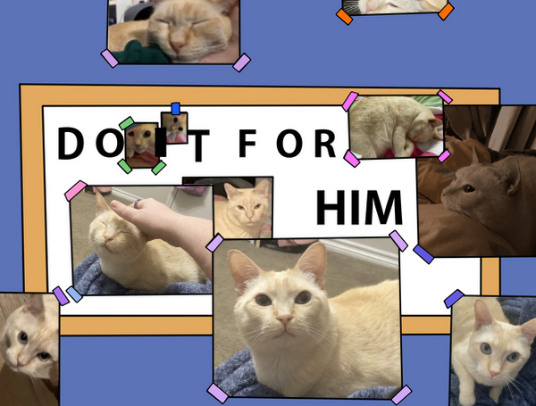 662866365929d0829431e575