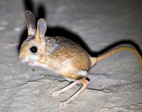 @harper's Pin Board Image