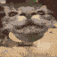 @octomaris's Pin Board Image