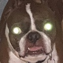 @thief's Pin Board Image