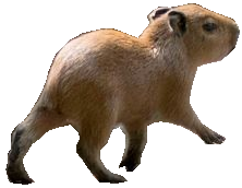 @thief's Pin Board Image