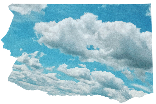 @Meadowmood's Pin Board Image