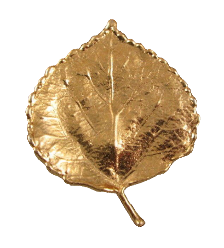 @Meadowmood's Pin Board Image