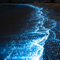 @CHELRY's Pin Board Image