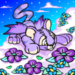 @kougra's Pin Board Image