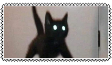 @teacupt's Pin Board Image