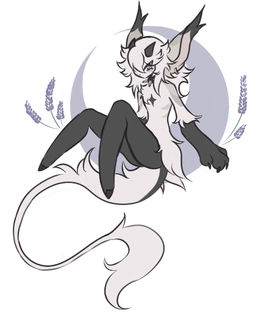 constellixx's Page Doll