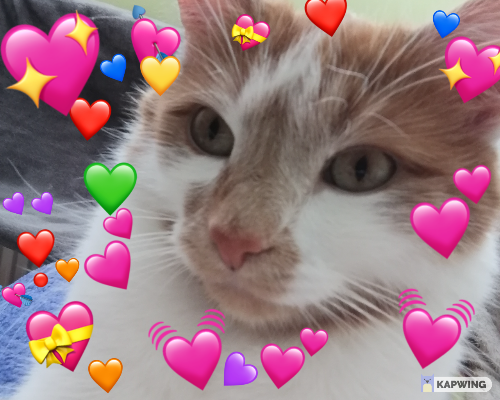 @astrabee's Pin Board Image