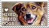 @maudfs's Pin Board Image