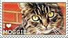 @maudfs's Pin Board Image