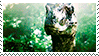 @CobraVenom's Pin Board Image