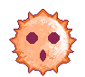 @Pomspine's Pin Board Image