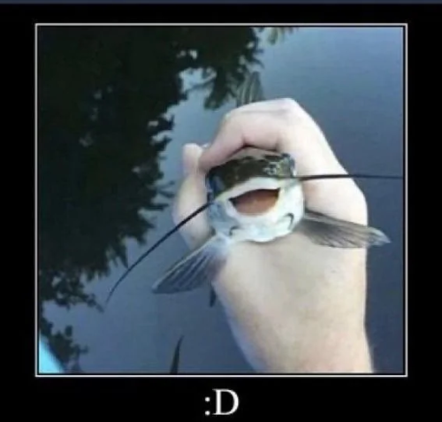 @bogsucka21's Pin Board Image