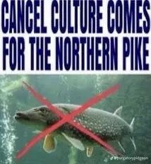 @bogsucka21's Pin Board Image