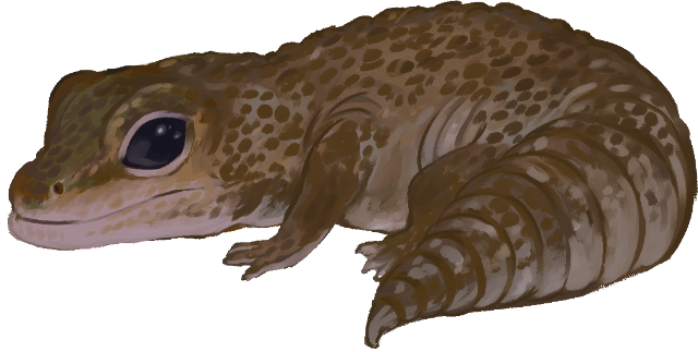 KuroKomrade's Page Doll