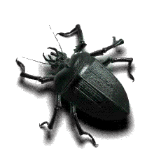 @Tanuki-Fleas's Pin Board Image