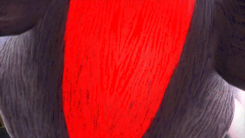 @knighthearts's Pin Board Image