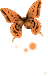 @Cantharus's Pin Board Image