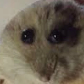 @helixOS's Pin Board Image
