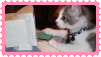 Link to: https://www.deviantart.com/iuvbug/art/Computer-cat-800197309