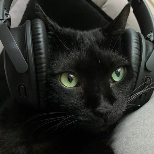 @wiingdings's Pin Board Image