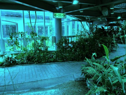 @wiingdings's Pin Board Image