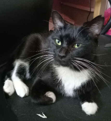 @wiingdings's Pin Board Image