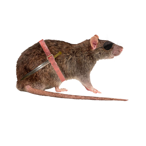 @skullrat's Pin Board Image