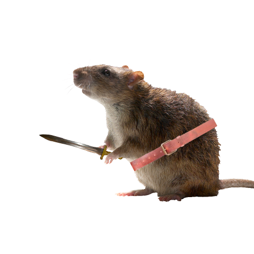 @skullrat's Pin Board Image