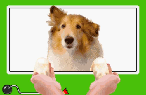 @calico's Pin Board Image