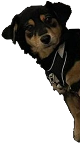 Valkyria's Page Doll