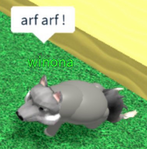 @taisha's Pin Board Image